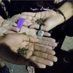 MS sedia workshop sobre comunidades terapêuticas e proteção à saúde