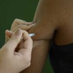 Ministério alerta para alta de casos de febre amarela em 4 estados