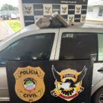 Polícia Civil apreende 2kg de entorpecentes em Dourados