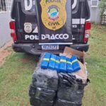 Polícia Civil apreende mais de 150 kg de maconha em Campo Grande