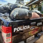 Polícia Civil incinera 730kg de drogas em Três Lagoas