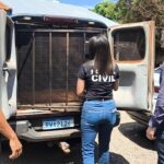 Polícia Civil prende acusado de Feminicídio ocorrido em Juti nesta segunda-feira