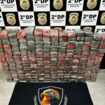 Polícia Civil apreende 222 tabletes de cocaína avaliados em aproximadamente 15 milhões de reais escondidos em carga de produtos de limpeza que seria enviada de Dourados para São Paulo