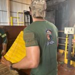 Polícia Civil incinera 12 toneladas de drogas em Ponta Porã