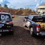 Polícia Civil incinera 356 kg de drogas em Três Lagoas