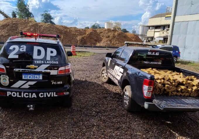 Polícia Civil incinera 356 kg de drogas em Três Lagoas