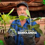 Prefeitura de Sidrolândia entrega 100 mudas de plantas para produtores das feiras da zona rural