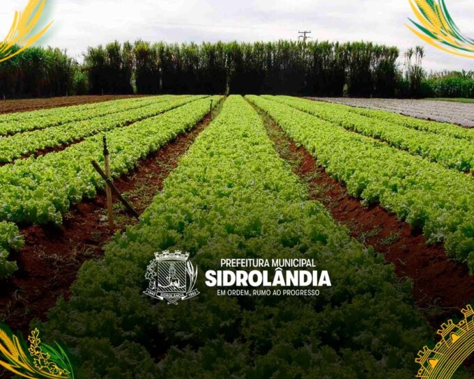 Sidrolândia é referência em agricultura familiar com o apoio do CECAF e da prefeitura