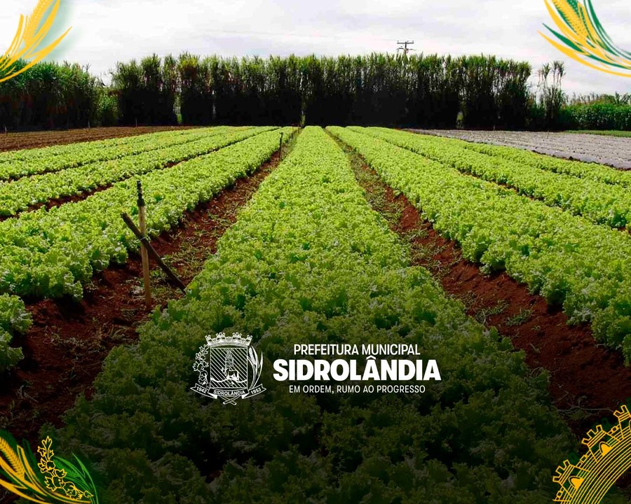 Sidrolândia é referência em agricultura familiar com o apoio do CECAF e da prefeitura