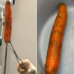 Homem vai parar na emergência com “cenourão” enfiado no ânus