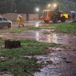 Defesa Civil de Nioaque age rápido e desobstrui avenida após queda de árvore