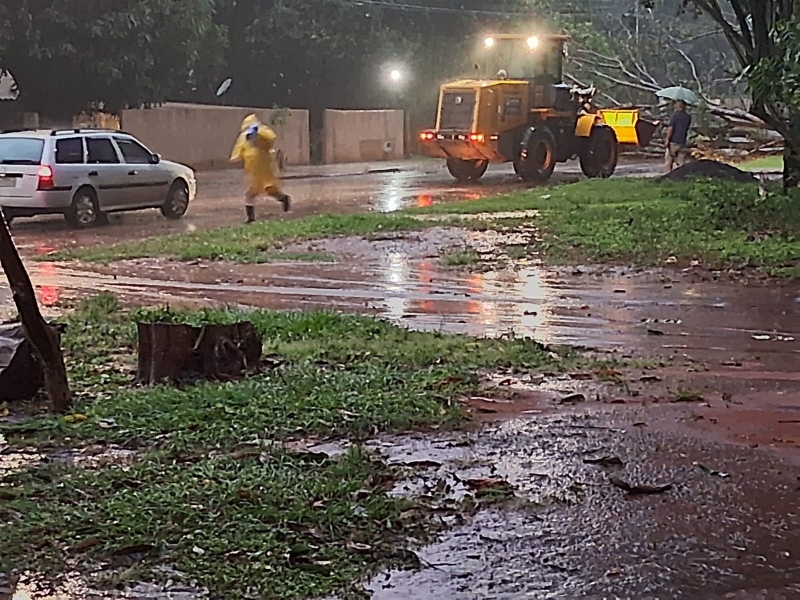 Defesa Civil de Nioaque age rápido e desobstrui avenida após queda de árvore