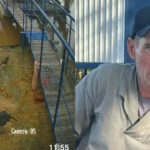 Buscas por caseiro desaparecido após ataque de onça são suspensas no Pantanal