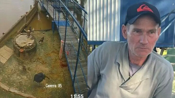 Buscas por caseiro desaparecido após ataque de onça são suspensas no Pantanal