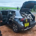 Adolescente é apreendido pelo DOF com carro roubado e carregado com mais de R$ 2 milhões em drogas
