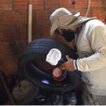 Chicungunya tem aumento em MS e acende alerta