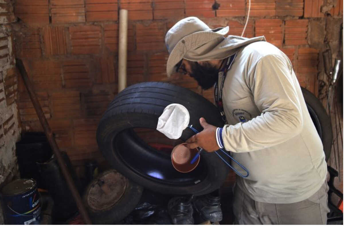 Chicungunya tem aumento em MS e acende alerta
