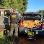 DOF apreende mais de 1,3 tonelada de drogas em Dourados