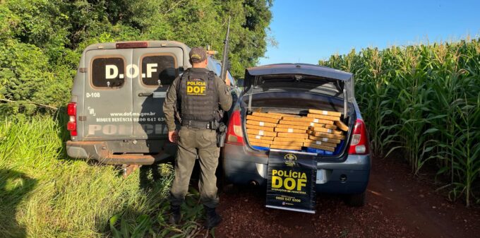 DOF apreende mais de 1,3 tonelada de drogas em Dourados
