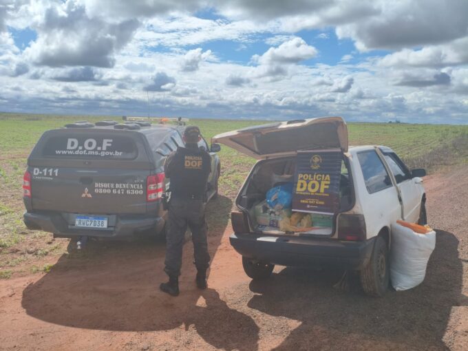 DOF apreende mais de 150 quilos de droga que seguiam para Naviraí