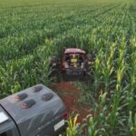 DOF apreende mais de cem quilos de droga em carro abandonado em plantação de milho