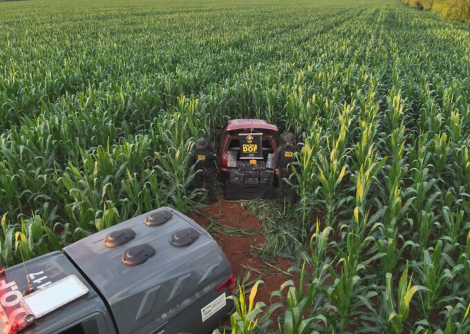 DOF apreende mais de cem quilos de droga em carro abandonado em plantação de milho
