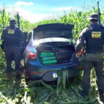 DOF apreende mais de meia tonelada de drogas em Amambai