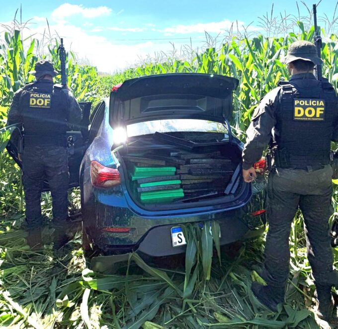 DOF apreende mais de meia tonelada de drogas em Amambai