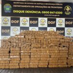 DOF apreende mais de mil quilos de drogas em Laguna Carapã