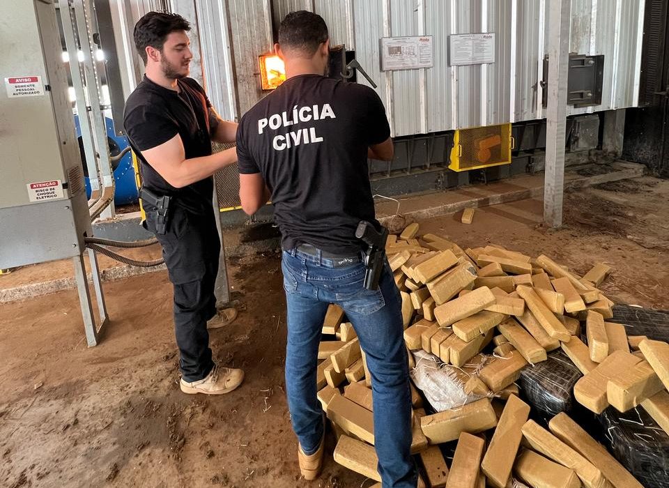 Delegacia de Paranhos incinera mais de uma tonelada de drogas
