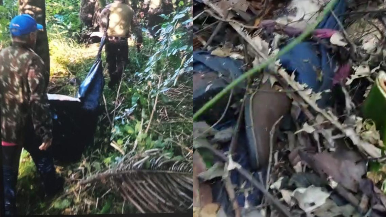 Partes do corpo de caseiro morto por onça vão para análise de DNA