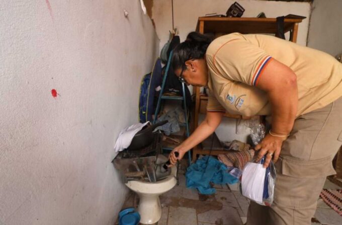 MS registra 2.891 casos confirmados de dengue