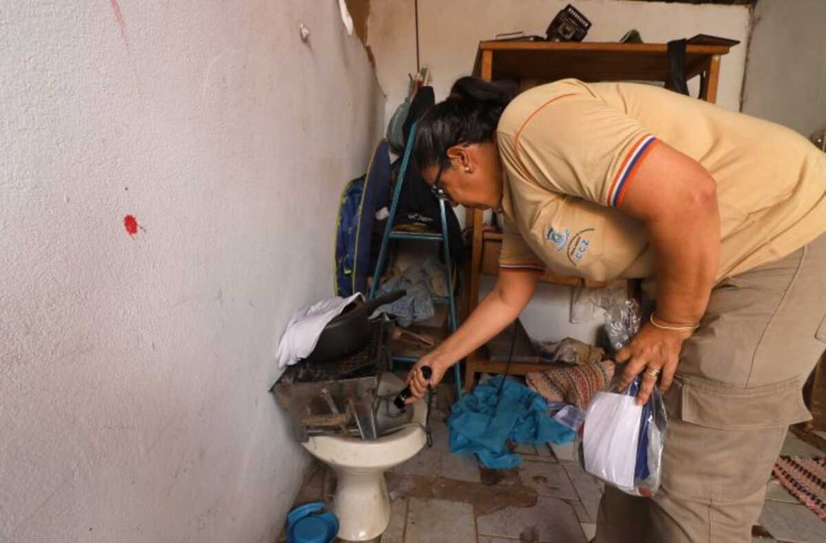 MS registra 2.891 casos confirmados de dengue