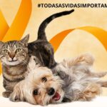 Polícia Civil divulga ações realizadas durante a campanha “Abril Laranja”