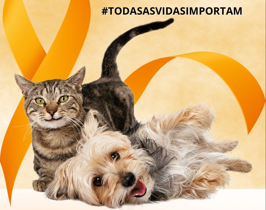 Polícia Civil divulga ações realizadas durante a campanha “Abril Laranja”