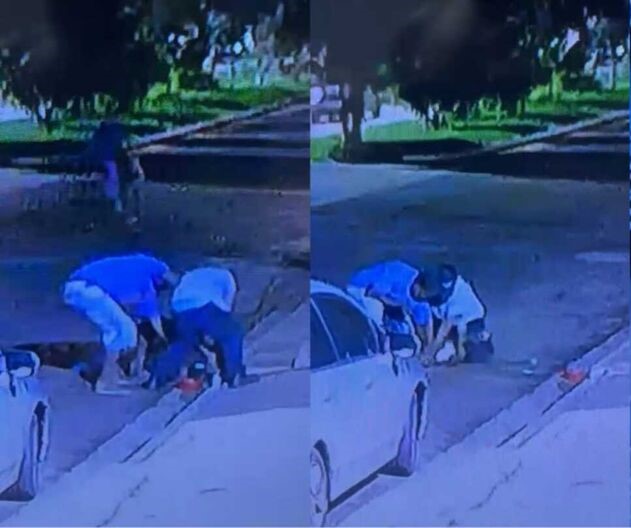 Polícia Civil identifica e indicia autores da morte do pitbull ocorrida em Campo Grande