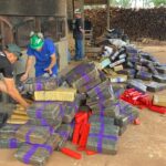 Polícia Civil incinera mais de 3 toneladas de drogas em Mundo Novo