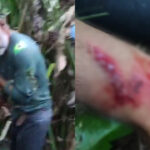 Homem teria sido atacado por onça no momento em que resgatava restos mortais de caseiro no Pantanal