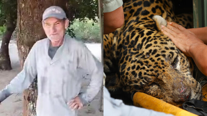 Polícia descarta hipótese de assassinato de caseiro antes de ser devorado por onça no Pantanal