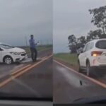 Motorista atropela anta na BR-060, em Sidrolândia (vídeo)