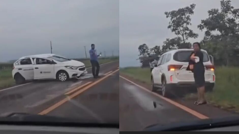 Motorista atropela anta na BR-060, em Sidrolândia (vídeo)