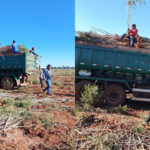 Prefeito Rodrigo Basso fortalece a produção agrícola nas comunidades indígenas, impulsionando segurança alimentar e geração de renda