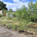 Saúde de Jardim notifica e multa proprietários de lotes urbanos por não contribuírem com o combate a dengue