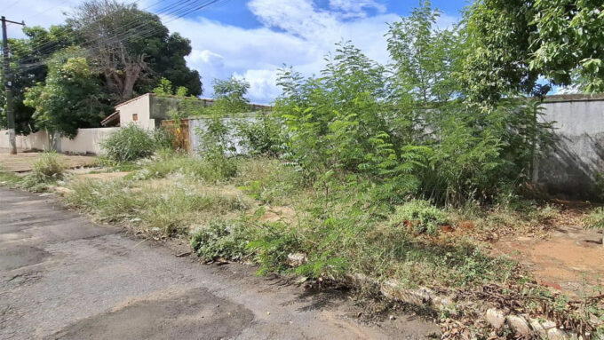 Saúde de Jardim notifica e multa proprietários de lotes urbanos por não contribuírem com o combate a dengue