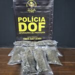 Adolescente que seguia com droga em ônibus para Caarapó é apreendido pelo DOF