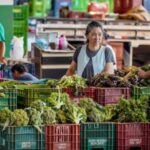 Anvisa inicia novo ciclo de análise de resíduos de agrotóxicos em alimentos