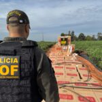 Carga milionária de cigarros contrabandeados é apreendida pelo DOF em Mundo Novo