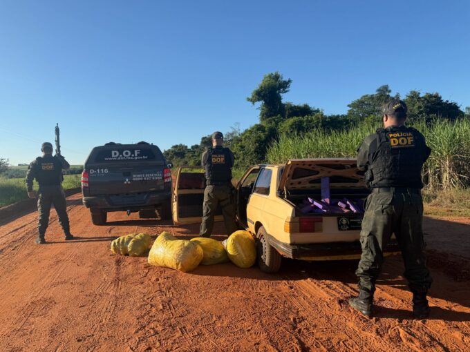 DOF apreende 350 quilos de drogas em Iguatemi