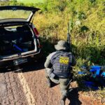 DOF apreende mais de 200 quilos de droga em meio a mata em Ivinhema