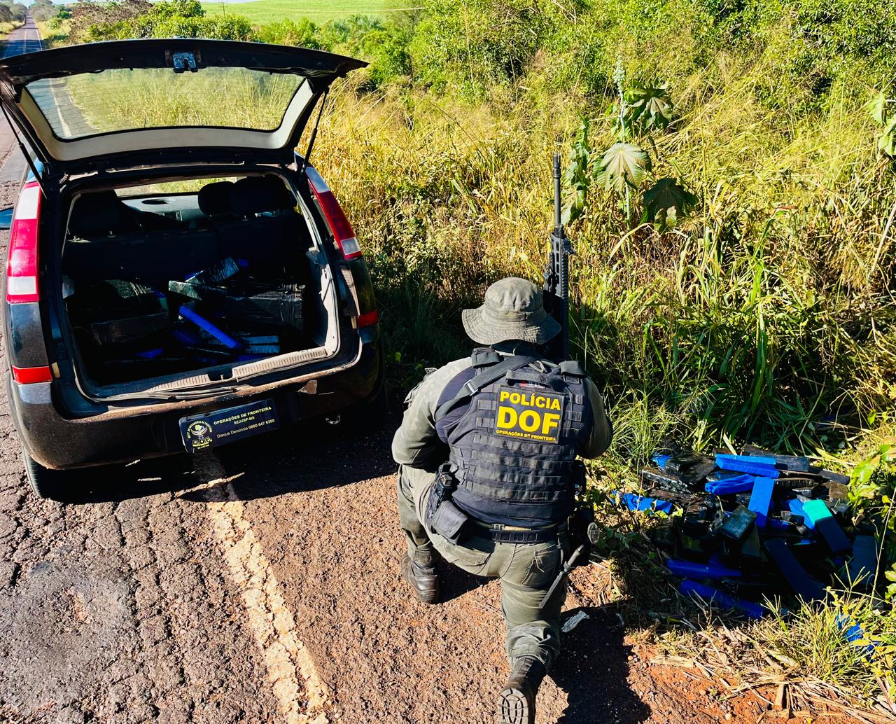 DOF apreende mais de 200 quilos de droga em meio a mata em Ivinhema